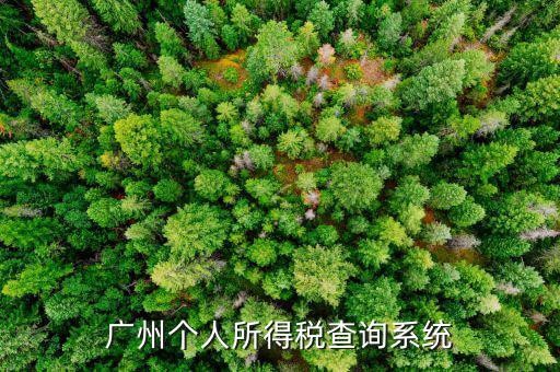 廣州個人所得稅查詢系統