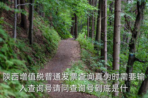 陜西省普通發(fā)票如何查詢系統(tǒng)，陜西國(guó)稅發(fā)票查詢號(hào)是做什么的