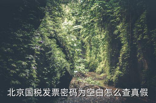 北京國稅發(fā)票真?zhèn)稳绾尾樵?，北京國稅發(fā)票密碼為空白怎么查真假