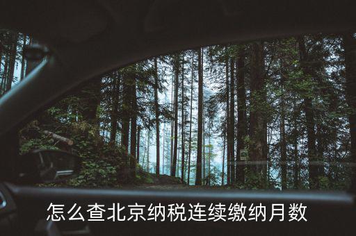 北京如何查到納稅記錄，怎么查詢納稅記錄