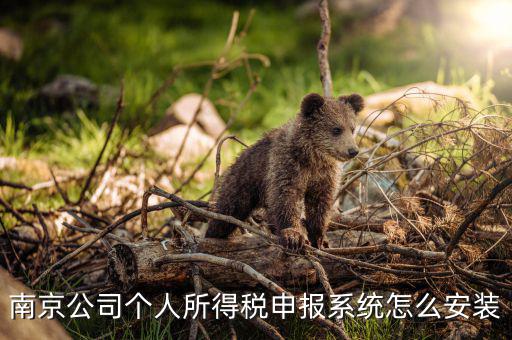 如何安裝金稅三期個(gè)稅安裝包，金稅三期在哪里下載