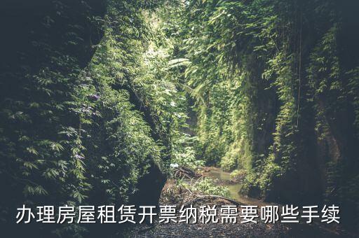 租房如何開增值稅專票，房屋租賃可以開增值稅專用發(fā)票嗎