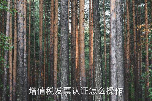 如何認(rèn)證增值稅進(jìn)項(xiàng)稅，進(jìn)項(xiàng)稅怎么認(rèn)證