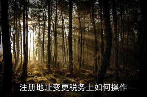 稅務(wù)官網(wǎng)地址如何變更，注冊(cè)地址變更稅務(wù)上如何操作