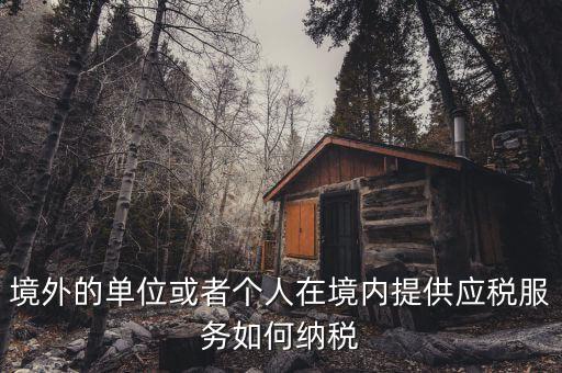 境外機構(gòu)如何繳納增值稅，來源于境外收入怎么交增值稅