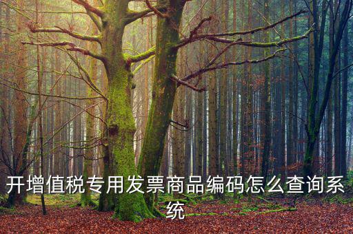 開(kāi)增值稅專(zhuān)用發(fā)票商品編碼怎么查詢(xún)系統(tǒng)