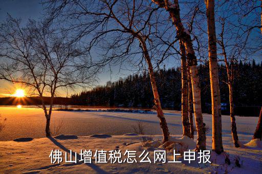 佛山地稅如何網(wǎng)上申報，佛山增值稅怎么網(wǎng)上申報