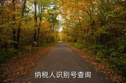 如何查公司納稅人識別號，納稅人識別號查詢