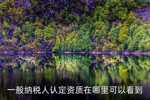 如何查看稅務(wù)資質(zhì)，一般納稅人認(rèn)定資質(zhì)在哪里可以看到