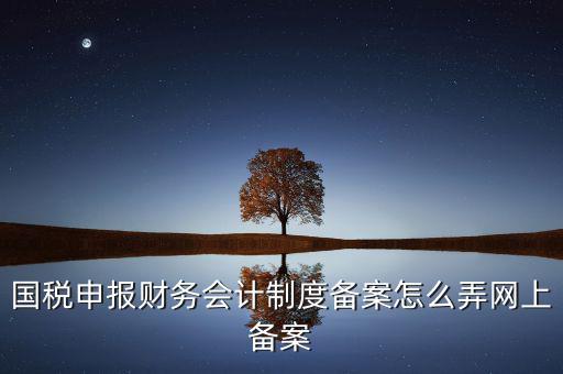 電子稅務(wù)局如何會(huì)計(jì)制度備案，2017年電子稅務(wù)局財(cái)務(wù)報(bào)表備案是不是可以馬上填寫(xiě)