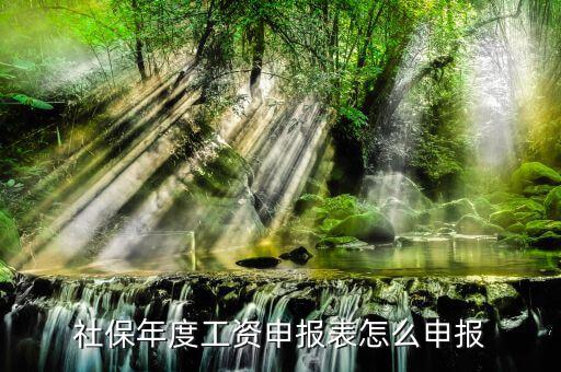 如何申報社保費申報表，申報社保怎么申請