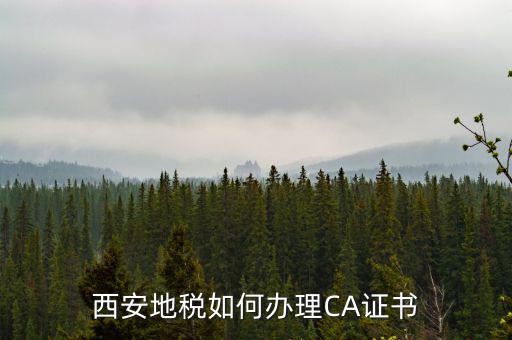 如何申請地稅ca證書，西安地稅如何辦理CA證書
