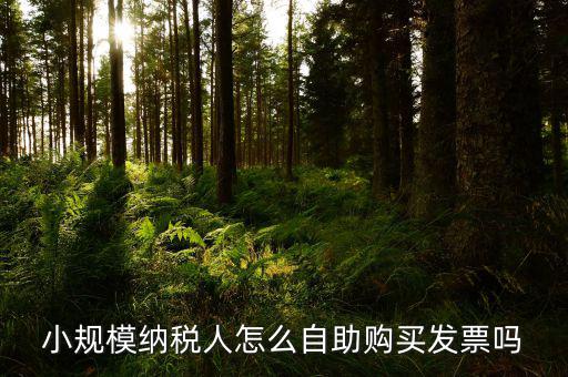 如何在自助機(jī)領(lǐng)購發(fā)票，小規(guī)模納稅人怎么自助購買發(fā)票嗎