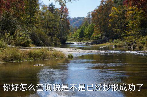 如何查看抄報(bào)成功，稅控發(fā)票開(kāi)票軟件怎么看網(wǎng)上抄報(bào)成功沒(méi)有