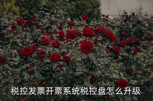 稅控發(fā)票開(kāi)票系統(tǒng)稅控盤(pán)怎么升級(jí)