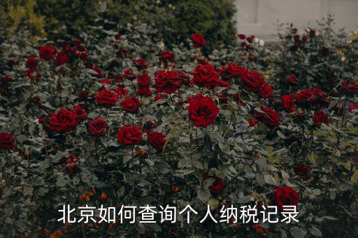如何查詢北京國(guó)稅局納稅人狀態(tài)，如何進(jìn)行北京市A級(jí)納稅人信用查詢