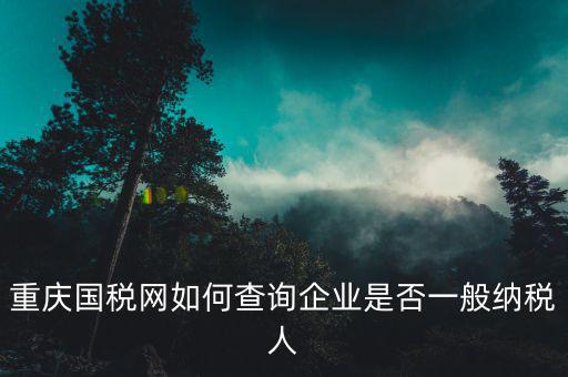 重慶國(guó)稅網(wǎng)如何查詢(xún)企業(yè)是否一般納稅人