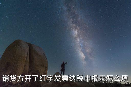 銷(xiāo)貨方開(kāi)了紅字發(fā)票納稅申報(bào)表怎么填