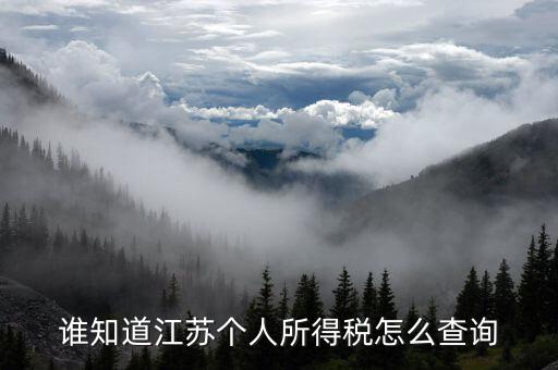 誰知道江蘇個(gè)人所得稅怎么查詢