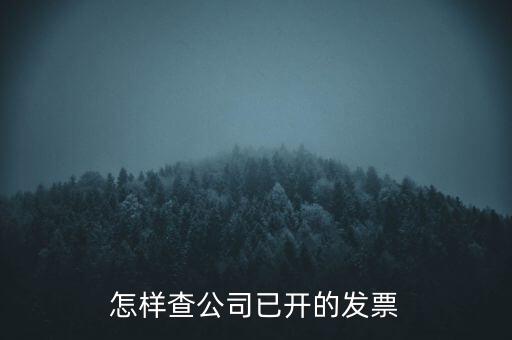 如何查企業(yè)的開票資料，如何查詢其他企業(yè)開具給本企業(yè)的發(fā)票
