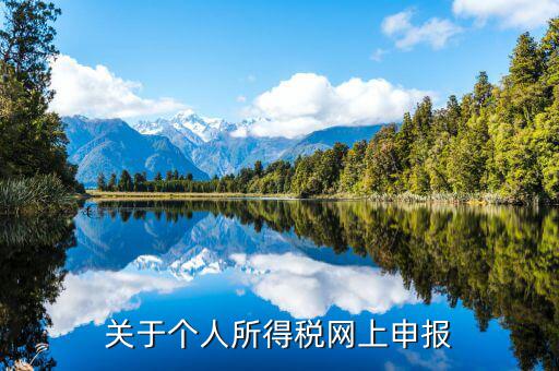 網(wǎng)上如何啟用個稅，如何打開個人所得稅申報(bào)表的明細(xì)