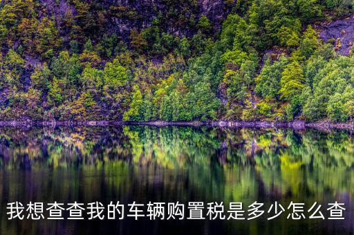 如何看購置稅發(fā)票，我想查查我的車輛購置稅是多少怎么查