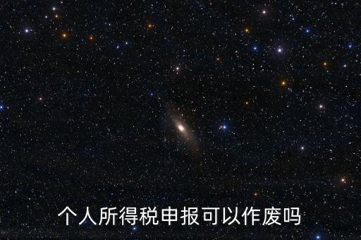 個人所得稅申報(bào)可以作廢嗎