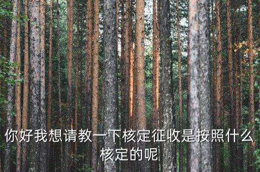 核定征收認(rèn)定如何認(rèn)定，如何核定征收