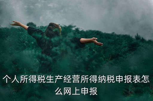 生產(chǎn)經(jīng)營所得如何網(wǎng)上申報(bào)，個(gè)體工商戶網(wǎng)上申報(bào)怎么做
