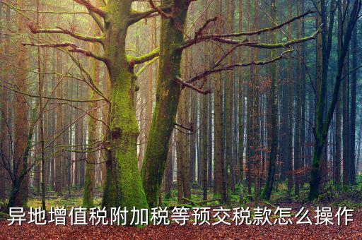 跨區(qū)稅源登記 如何繳納附加稅，異地增值稅附加稅等預交稅款怎么操作