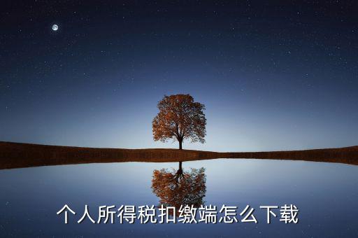 如何下載自然人扣繳客戶端，重慶市自然人電子稅務(wù)局扣繳端怎么下載