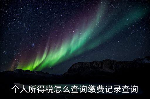 金稅三期個人所得稅如何查詢，個人所得稅怎么查詢繳費(fèi)記錄查詢