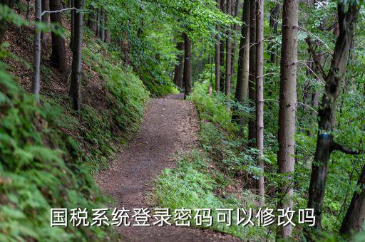 稅務(wù)系統(tǒng)如何修改密碼，金稅三期怎樣修改報稅密碼