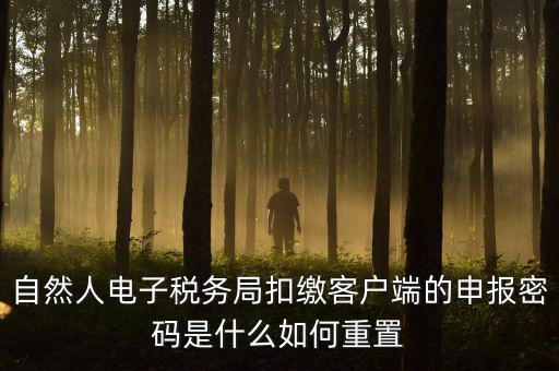 自然人納稅申報(bào)密碼如何找回，電子稅務(wù)局密碼忘記了怎么找回