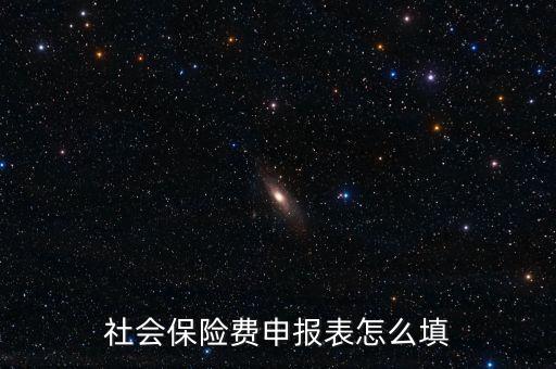 稅務(wù)系統(tǒng)社保費(fèi)申報(bào)表如何填報(bào)，社會(huì)保險(xiǎn)費(fèi)申報(bào)表怎么填