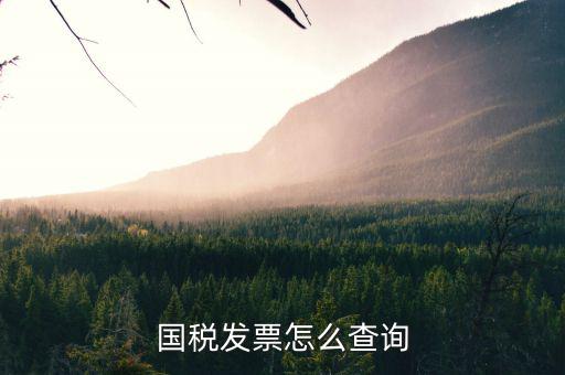 河北省的發(fā)票如何查詢，我的發(fā)票在河北地稅網(wǎng)上可以查到信息都沒有問題但是河北地稅