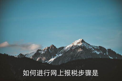 如何推行網(wǎng)上辦稅，如何辦理網(wǎng)上納稅