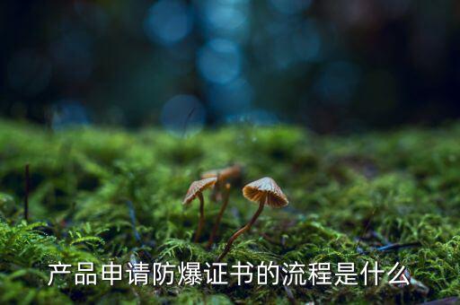 如何辦理防爆用地，產(chǎn)品辦理防爆認(rèn)證流程有哪些