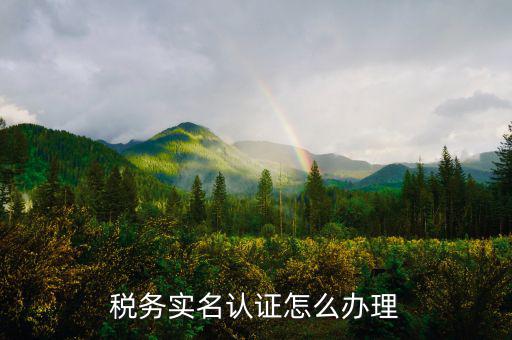 大連網(wǎng)上稅務(wù)局如何實名認(rèn)證，稅務(wù)實名認(rèn)證怎么辦理