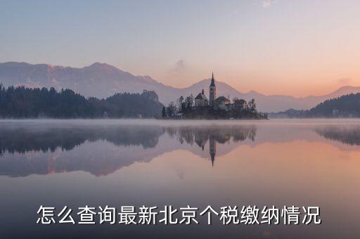 北京市 欠稅人員如何查詢，稅務欠稅信息如何查詢