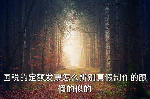 如何驗(yàn)證定額發(fā)票，國稅的定額發(fā)票怎么辨別真假制作的跟假的似的