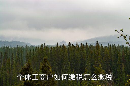 福建企業(yè)如何繳稅，企業(yè)所得稅是多少