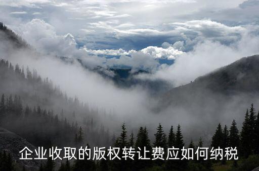 轉(zhuǎn)讓版權(quán)如何交稅，個人轉(zhuǎn)讓著作權(quán)按什么征個稅