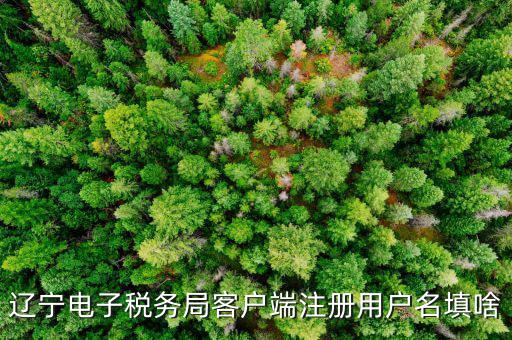 如何注冊社保電子稅務局賬號，遼寧電子稅務局客戶端注冊用戶名填啥
