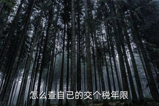 如何查詢納稅期限，怎么查自已的交個(gè)稅年限