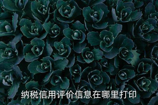 納稅信用評價(jià)信息在哪里打印
