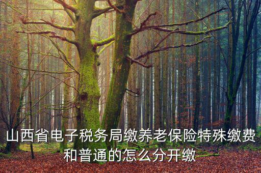山西養(yǎng)老保險如何和國稅局對接，交養(yǎng)老保險交到國家稅務(wù)總局怎么辦