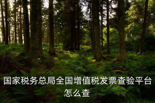 國家稅務總局全國增值稅發(fā)票查驗平臺怎么查
