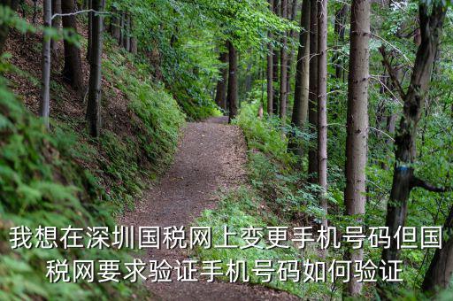 我想在深圳國稅網上變更手機號碼但國稅網要求驗證手機號碼如何驗證