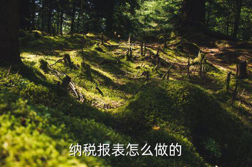 如何做數據報稅，在開普票里每月1號申報數據具體怎么弄的先點擊報稅再點